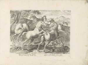 Vechtende paarden met een onder de voet gelopen paard Hevonen, jossa kaikenlaisia ​​aatelisia: eri puolilta maailmaa erottuneiden hevosten käyttäytyminen valittu (...) (sarjan nimi esineellä) tekijältä Anonymous