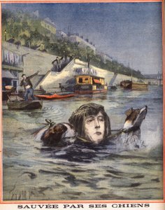 Nainen putoaa Seinen ja hänen koiransa pelastivat Pariisissa. Kaiverrus kirjassa "" Le petit parisien"" 14.8.1910. Yksityinen kokoelma. tekijältä Anonymous Anonymous