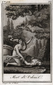Adonisin kuolema. Kaiverrus vuodelta 1819 Charles Albert Demoustier