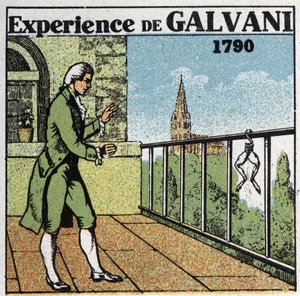 Paristot ja akut: Luigi Galvanin (1737-1798) kokemus sammakon reisien sähköliitosta nähdäkseen vaikutukset lihaksiin, 1790. Nimetön kuva vuodelta 1925. Yksityinen kokoelma. tekijältä Anonymous Anonymous