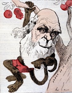 Charles Robert Darwinin (1809 - 1882) karikatyyri elokuvassa "La Lune" tekijältä Anonymous Anonymous