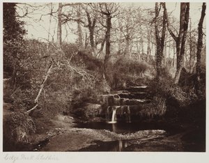 Edge Park, Cheshire, n.1865 (valokuva lasinegatiivista). tekijältä Anonymous Anonymous