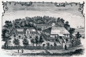 Ulkokuva Hell Villen (Hell-Ville) (Andoany) pappista ja koulusta, Madagaskarin Nosy Be -saaren pääkaupungista. Kaiverrus "Les Missions Catholiques au XIXeme Siecle" Louis-Eugene (Louis Eugene) Louvet. yksityinen kokoelma. tekijältä Anonymous Anonymous