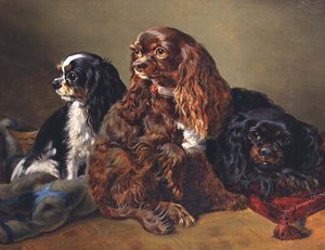 King Charles Spanielit tekijältä Anonymous Anonymous