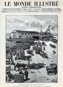 Merikauppa: Egyptistä saapuvan viiriäisen haukkuminen Marseillen satamassa. Sanomalehti. Kaiverrus "Le monde illustree" vuodelta 1892. Yksityinen kokoelma. tekijältä Anonymous Anonymous