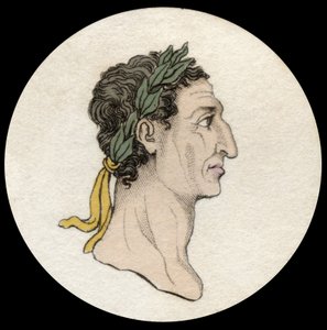 Keisari Nervan (Marcus Cocceius Nerva) (26-98 jKr) muotokuva. Kaiverrus 1800-luvulta. Milanolainen tekijältä Anonymous Anonymous