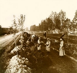 Stereoskooppinen lasilevy ensimmäisestä maailmansodasta (1., Iere tekijältä Anonymous Anonymous