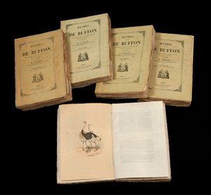 The Complete Artworks of Buffon (1707 - 1788) - yksityinen kokoelma tekijältä Anonymous Anonymous