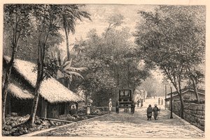 Näkymä kadulle Colombosta Ceylonissa (Sri Lanka). Louis-Eugene (Louis Eugene) Louvetin kaiverrus "Katoliset lähetystyöt XIX-luvulla". yksityinen kokoelma. tekijältä Anonymous Anonymous