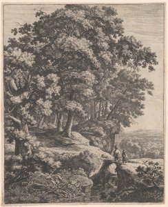 Pikku kyttyräselkä, 1600-luku.