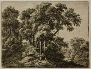 Metsäinen polku tekijältä Anthonie Waterloo