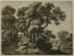 Metsäinen polku tekijältä Anthonie Waterloo