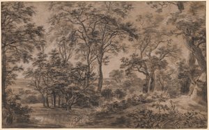 Metsäinen maisema tekijältä Anthonie Waterloo
