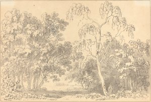 Metsäinen maisema