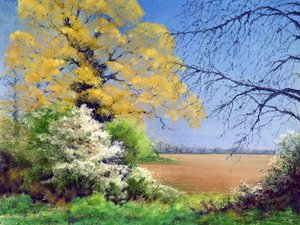 Blackthorn Winter, 2003