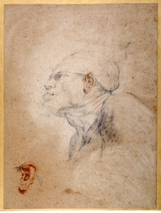 Miehen pää sidottu, vasen korva erikseen harjoiteltu (musta ja punainen liitu paperilla) tekijältä Anthony van Dyck