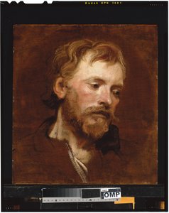 Parrakas mies, työhuone tekijältä Anthony van Dyck