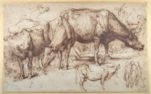 Nauta laitumella, n. 1618-20 (kynä ja muste pesulla paperille) tekijältä Anthony van Dyck