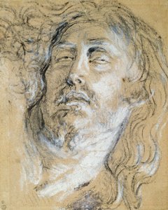 Kuolleen Kristuksen pää (hiili ja liitu paperille) tekijältä Anthony van Dyck