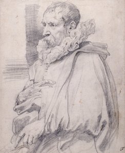 Pieter Brueghel nuorempi (musta liitu valkoisella paperilla) tekijältä Anthony van Dyck