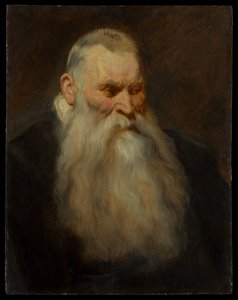 Tutkielma valkopartaisen vanhan miehen päästä tekijältä Anthony van Dyck