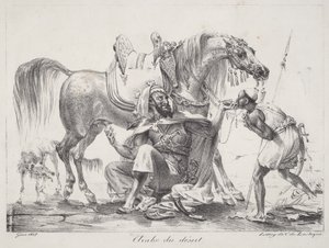 Desert Arab (Aavikon arabi)
