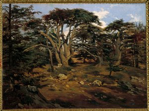 Vanhat setrit Libanon-vuorella Boumanassa Antoine Alphonse Montfortin (1802-1884) maalaus 1800-luvun su. 0,32x0,44 m Pariisi, Orsay-museo tekijältä Antoine Alphonse Montfort