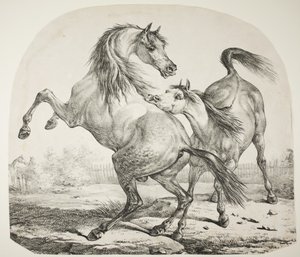 Villihevosten taistelu, n. 1820 tekijältä Antoine Charles Horace Vernet