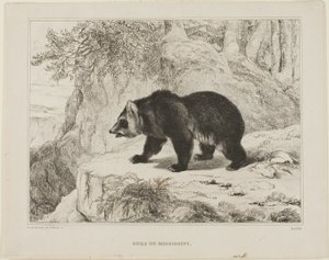 Mississippin karhu tekijältä Antoine Louis Barye