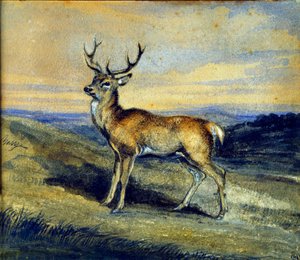 Peura. Antoine Louis Baryen maalaus tekijältä Antoine Louis Barye