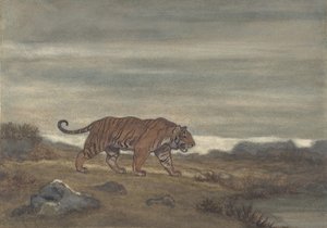 Tiger Approaving Pool, 1810-75.