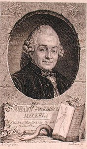 John Schleuenin (fl.1740-74) kaivertama Johann Friedrich Meckelin (1724-76) muotokuva (kaiverrus) tekijältä Anton (after) Graff