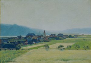 Aamu Tonavalla