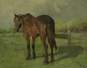 Hevonen tekijältä Anton Mauve