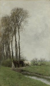 Hevoset aidalla tekijältä Anton Mauve