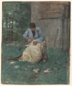 lampaiden keritsijä tekijältä Anton Mauve