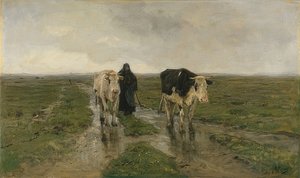 Laiduntaminen. Varmaan 1880-luvulta tekijältä Anton Mauve