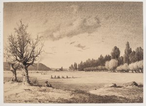 Avoin maisema, jossa on metsää kaukana. Burgundia