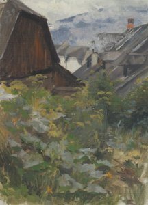 kylätutkimus