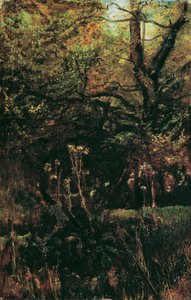 Metsän raivaus ohdakkeineen