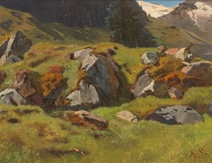 Ferleitenin kivien tutkiminen