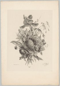 Neilikat ja liljat Flower and Fruit Studies (...) 10. jakso (sarjan nimi) tekijältä Anton Weiss