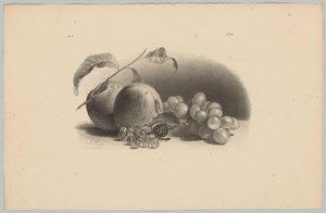 Omenat, marjat, karhunvatukat ja viinirypäleet Flower and Fruit Studies (...) 3. jakso (sarjan nimi) tekijältä Anton Weiss