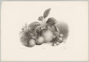 Kukat, nektariinit ja hasselpähkinät Flower and Fruit Studies (...) 10. jakso (sarjan nimi) tekijältä Anton Weiss