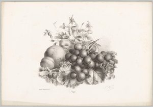 Kukat, persikka, nektariini, viinirypäleet ja karhunvatukat Flower and Fruit Studies (...) 10. jakso (sarjan nimi) tekijältä Anton Weiss