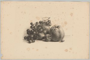 Rypäleet ja omenat Flower and Fruit Studies (...) 3. jakso (sarjan nimi) tekijältä Anton Weiss