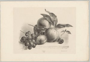 Rypäleet, luumu, persikat ja kirsikat Flower and Fruit Studies (...) 10. jakso (sarjan nimi) tekijältä Anton Weiss