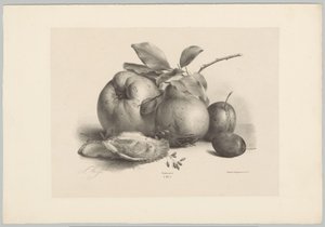Hedelmät, luumut ja osterit Flower and Fruit Studies (...) 10. jakso (sarjan nimi) tekijältä Anton Weiss