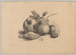 Hedelmät, luumut ja osterit Flower and Fruit Studies (...) 10. jakso (sarjan nimi) tekijältä Anton Weiss