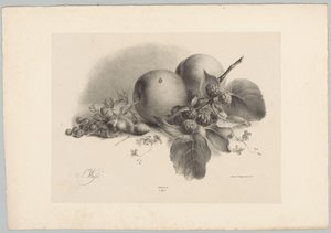Persikat, marjat, hasselpähkinät ja karhunvatukat Flower and Fruit Studies (...) 10. jakso (sarjan nimi) tekijältä Anton Weiss